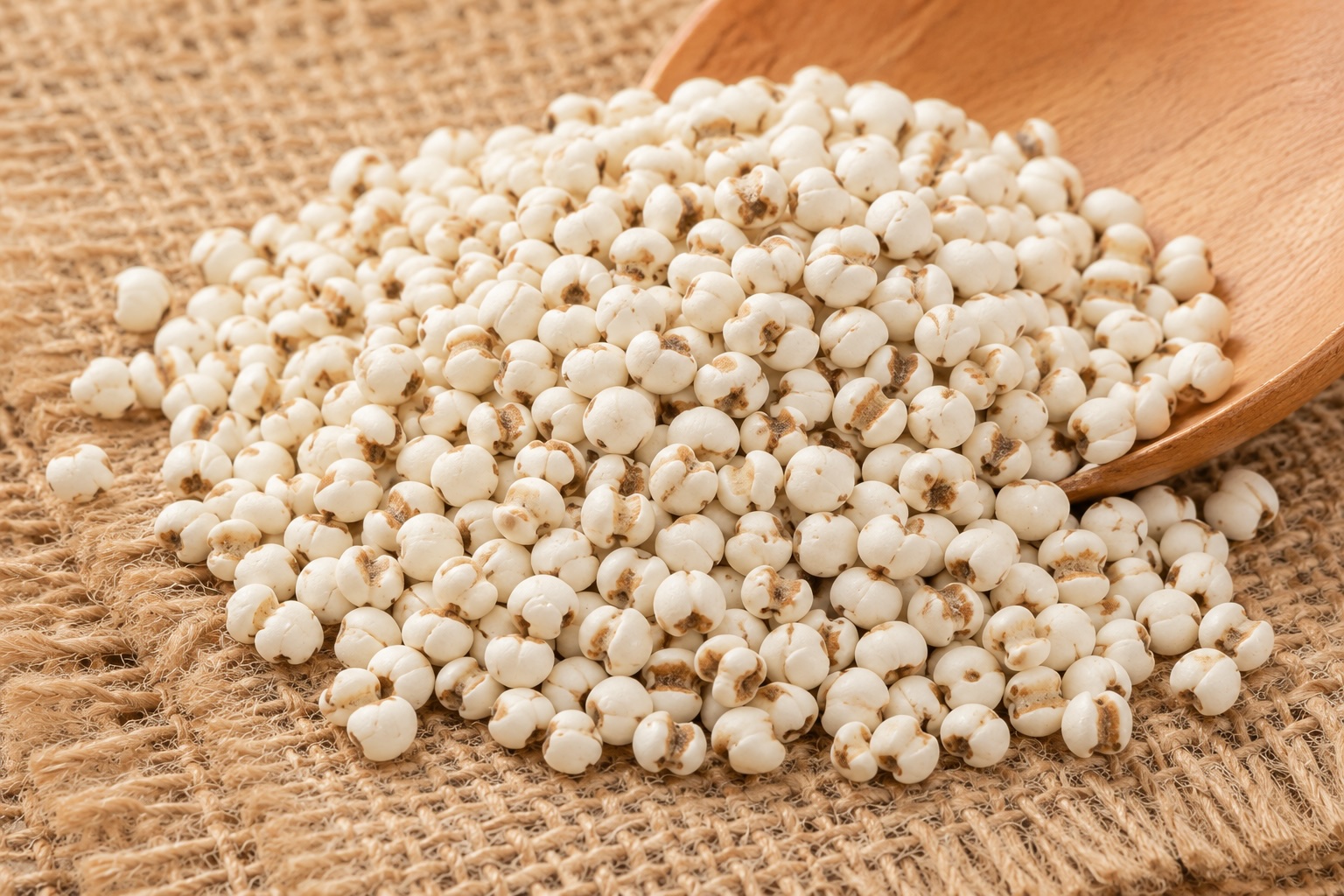Coix Seed